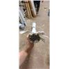 Image 1 : WHITE S EDGE 3 1/4" X 8FT LARG QTY
