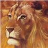Image 2 : Stephen Fishwick "Lion" Limited Edition Giclee