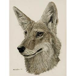 Nick Wilson. Scratchboard.