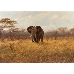 George Majewicz. Oil on Canvas.