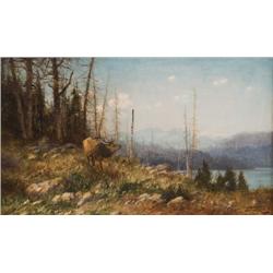 John Fery. Oil on Canvas.