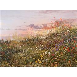 Thomas De Decker. Oil on Canvas.