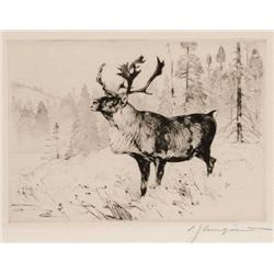 Carl Rungius. Etching.