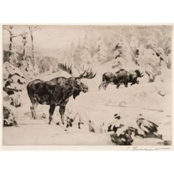 Carl Rungius. Etching.