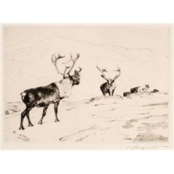 Carl Rungius. Etching.