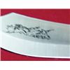 Image 8 : Frame Cased Knife Set - Six Knives