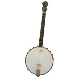 Washburn Tenor Banjo