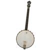 Image 1 : Washburn Tenor Banjo