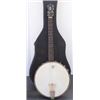 Image 2 : Washburn Tenor Banjo