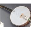 Image 5 : Washburn Tenor Banjo