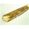 Image 5 : Eskimo Fossilized Ivory Cribbage Board