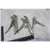 Image 1 : (3) Vice Grip Type Pliers