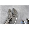 Image 3 : (3) Vice Grip Type Pliers