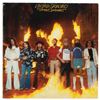 Image 2 : Lynyrd Skynyrd Fully Signed Album