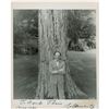 Image 1 : Vladimir Horowitz Signed Photograph