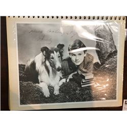 Roddy McDowall Autograph - Lassie Action Shot