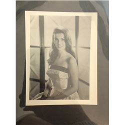 Photo of Ann-Margret