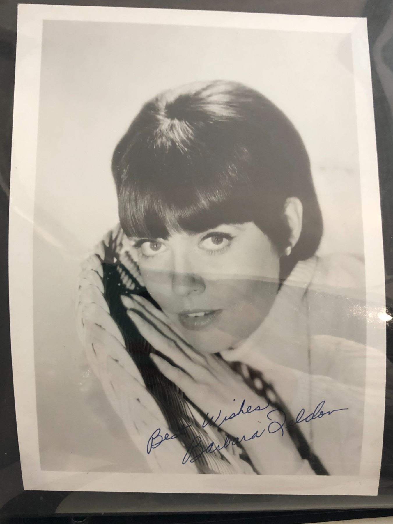Signed Photo of Barbra Feldon - Beck Auctions Inc.