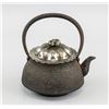 Image 2 : Japanese Iron Cast Teapot