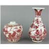 Image 3 : 2Pc Chinese Ming Style Copper Red Porcelain Vases