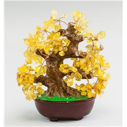 Chinese Amber Tree with Pot