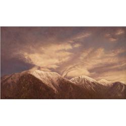 Michael Coleman. Oil on Board.