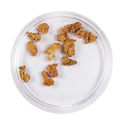 Lot of Gold Nuggets 3.79 Grams Total Weight
