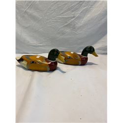 wood ducks