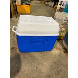 Coleman cooler