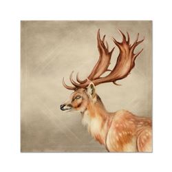 Martin Katon, "Fallow Deer of Europe" Original Oil Painting on Canvas, Hand Signed with Letter Authe