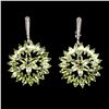 Image 1 : Natural Peridot Rhodolite Garnet 63 Cts  Earrings