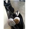 Image 2 : 2 GOLF BAGS MIZUNO AND PARADISE WITH NORTHWESTERN CLUBS AND CART