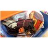 Image 2 : TOTE OF GLOVES, ELECTRONICS, BELTS