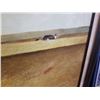 Image 8 : EASTERN WAVE PRINT AND ACRYLIC HORSE PAINTING