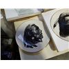 Image 2 : LOT OF GREGORY PERILLO NATIVE PLATE COLLECTION  WITH COA
