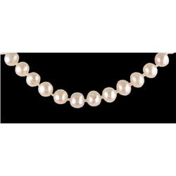 Classy Freshwater Pearl Necklace