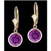 Image 1 : 14KY Gold Sparkling Amethyst Dangling Earrings