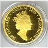 Image 1 : 2003 $200.00 gold Fitzgerald
