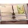 Image 2 : Single Dragonfly Display Case