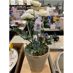13" Ranunculus Pot