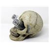 Image 2 : 3D Resin Skull with Salt & Pepper Shakers