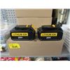 Image 1 : 2 Pack of 20 Volt Lithium Ion Batteries 5.0 AH