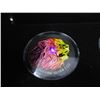 Image 2 : Black Neon Fine Silver "Big Cats" 3 Coin Set