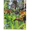 Image 3 : 2019 Discover Dinosaurs 3 Coin Pop Up Card
