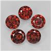 Image 1 : Natural Red Mozambique Garnet [IF-VVS]
