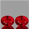 Image 1 : Natural AAA Fire Red Mozambique Ruby Pair