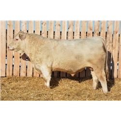 RAWES SIR GENERAL 14F