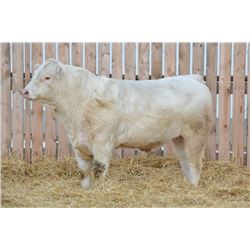 RAWES SIR GENERAL 15F