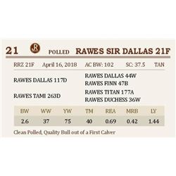 RAWES SIR DALLAS 21F