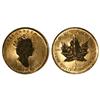 Image 1 : 1993 Canada 1/20 oz Gold ML
